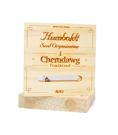 Семена сорта Chemdawg fem (Humboldt Seeds)