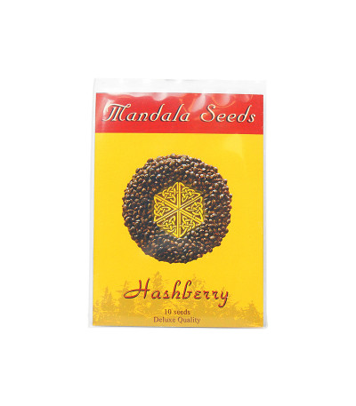 Семена сорта Hashberry reg (Mandala Seeds)