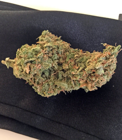 Семена сорта Afgooey fem (Strain Hunters)