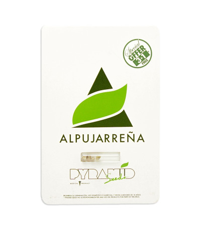 Семена сорта Alpujarrena fem (Pyramid Seeds)
