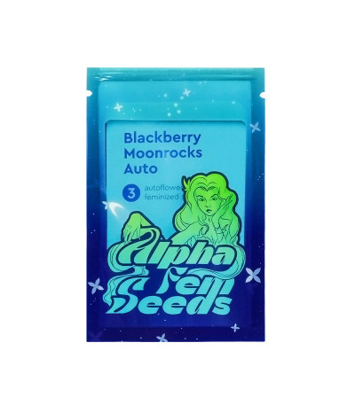 Семена сорта Blackberry Moonrocks Auto fem (AlphaFem Seeds)