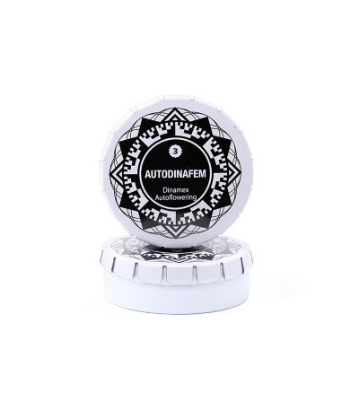 Семена сорта Dinamex Autoflowering fem