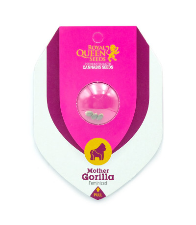 Семена сорта Mother Gorilla (Royal Madre) fem (Royal Queen Seeds)