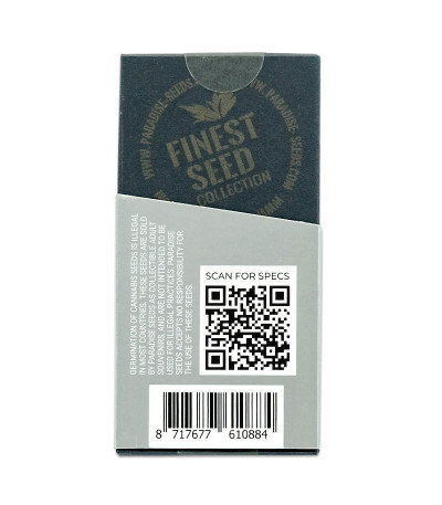 Семена сорта Vertigo Auto fem (Paradise Seeds)