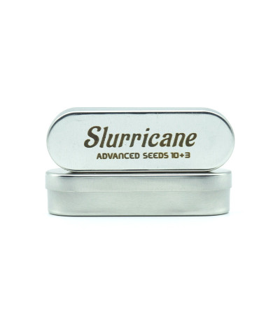 Семена сорта Slurricane fem (Advanced Seeds)