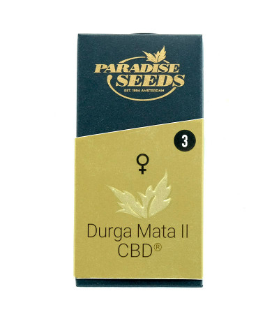 Семена сорта Durga Mata II CBD fem (Paradise Seeds)