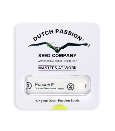 Семена конопли Purple #1 в оригинальной упаковке