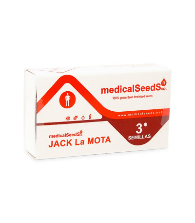 Семена сорта Jack La Mota fem