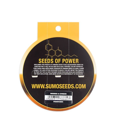 Семена сорта Berries & Cheese fem (Sumo Seeds)