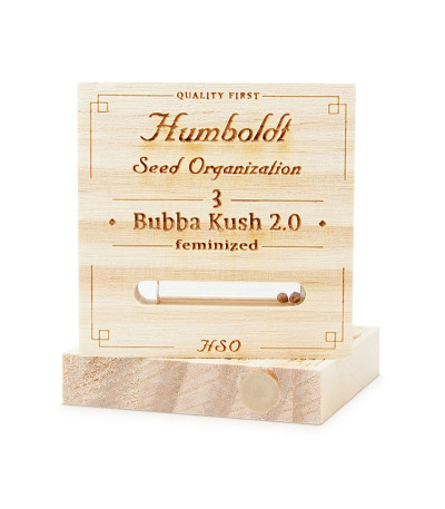 Семена конопли Bubba Kush 2.0 в оригинальной упаковке