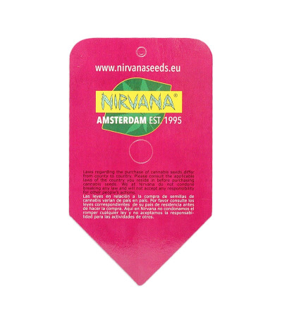 Семена сорта Amnesia Haze (Haze 1) fem (Nirvana Seeds)