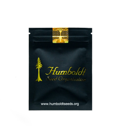 Семена сорта Sapphire OG fem (Humboldt Seed Organization)