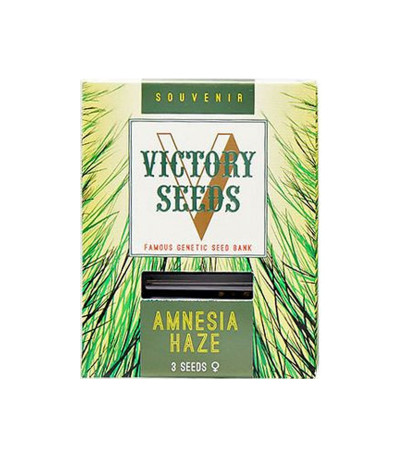 Семена сорта Amnesia Haze fem (Victory Seeds)