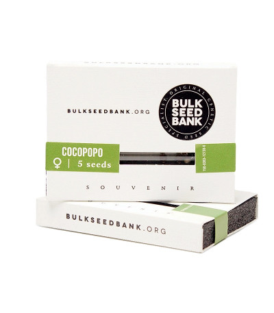 Семена сорта Cocopopo fem