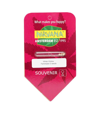 Семена сорта White Widow fem (Nirvana Seeds)
