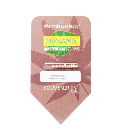 Семена сорта Mango Skunk reg (Nirvana Seeds)