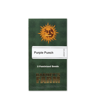 Семена сорта Purple Punch fem (Barney's Farm)