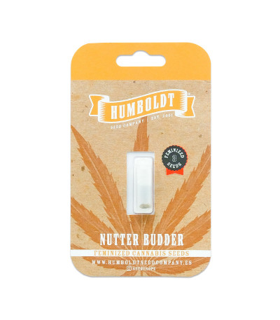 Семена сорта Nutter Budder fem (Humboldt Seed Company)