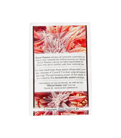 Семена сорта Dutch Cheese fem (Dutch Passion)