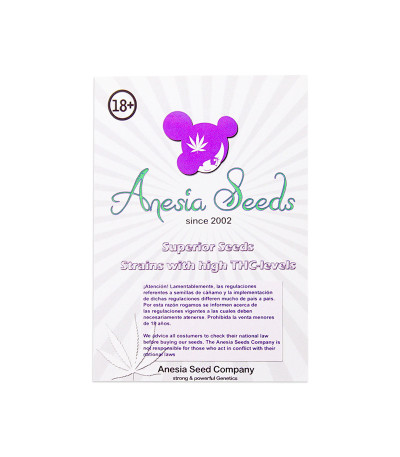 Заказать Bruce Banner #3 fem