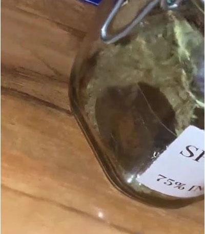 Семена сорта + Speed Auto fem (Sweet Seeds)