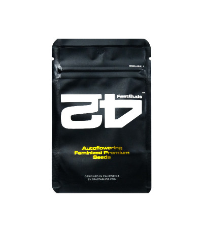 Семена сорта Orange President Auto fem (FastBuds)