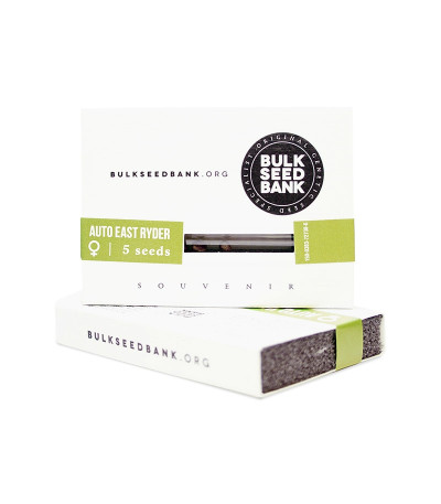 Семена сорта Auto East Ryder fem