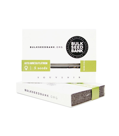 Семена сорта Auto Amnezia Platinum fem