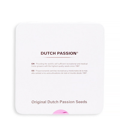 Семена сорта Auto Night Queen fem (Dutch Passion)