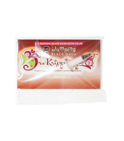 Семена сорта Jumping Black Dash auto fem (Dr. Krippling Seeds)