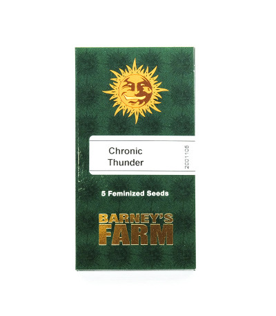 Семена сорта Chronic Thunder fem
