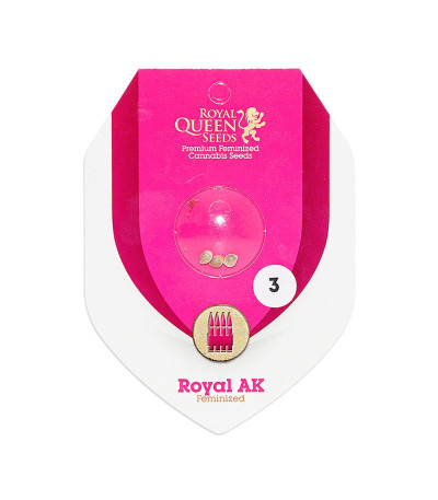 Семена сорта Royal AK fem (Royal Queen Seeds)