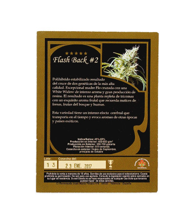 Семена сорта Flash Back #2 fem (Sweet Seeds)