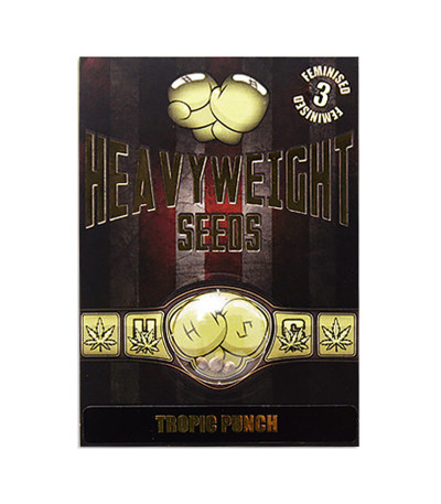 Семена сорта Tropic Punch fem (Heavyweight Seeds)