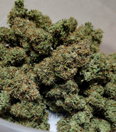 Семена сорта Original Auto Chemdawg fem (FastBuds)