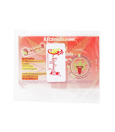 Семена сорта Puff Puff Pass Out fem (KFC Seeds)