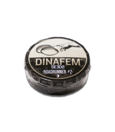 Семена сорта Roadrunner Autoflowering #2 fem