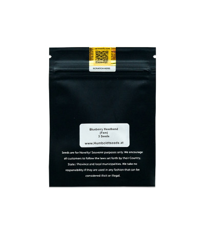 Семена сорта Blueberry Headband fem (Humboldt Seed Organization)