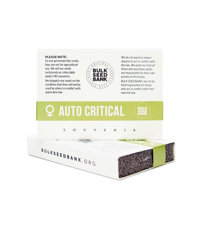 Семена сорта Auto Critical fem (Bulk Seed Bank)
