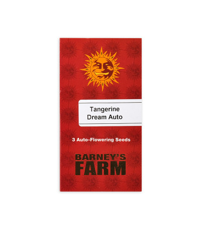 Семена сорта Tangerine Dream Auto fem (Barney's Farm)