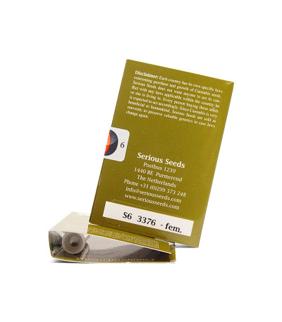 Семена сорта Serious 6 fem (Serious Seeds)