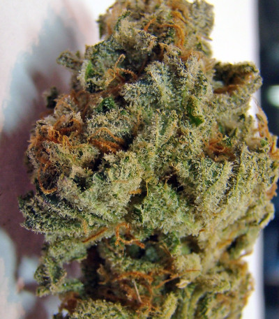 Семена конопли Strawberry Cough