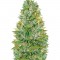 Семена сорта Auto Biggest Bud fem (Victory Seeds)