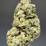 marshmallow-og-fem-compound-genetics.jpg
