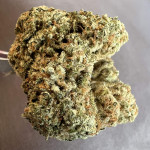 marshmallow-og-fem-compound-genetics.jpg