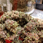 tropicana-cookies-ff-fem-fastbuds.jpg