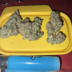 purple-punch-x-lemon-drizzle-fem-barneys-farm.jpg