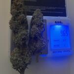 purple-punch-fem-barneys-farm.jpg