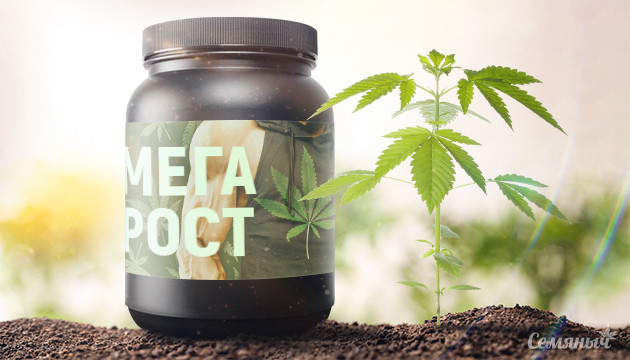 Удобрения для конопли