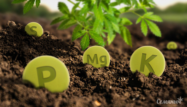 Минералы необходимые конопле